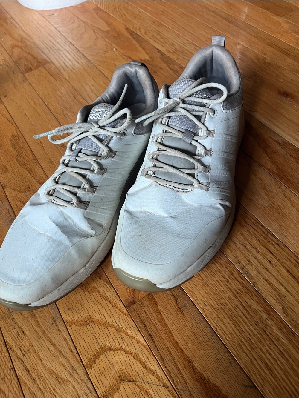 Sketchers GoGolf Men's Golf Sneakers in Light Gray
